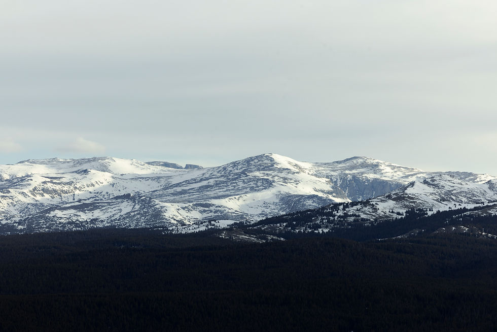 Snow-covered peaks of the Bighorn Mountains overlooking dense forest in northern Wyoming