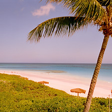CoralSands_hires-47s.jpg