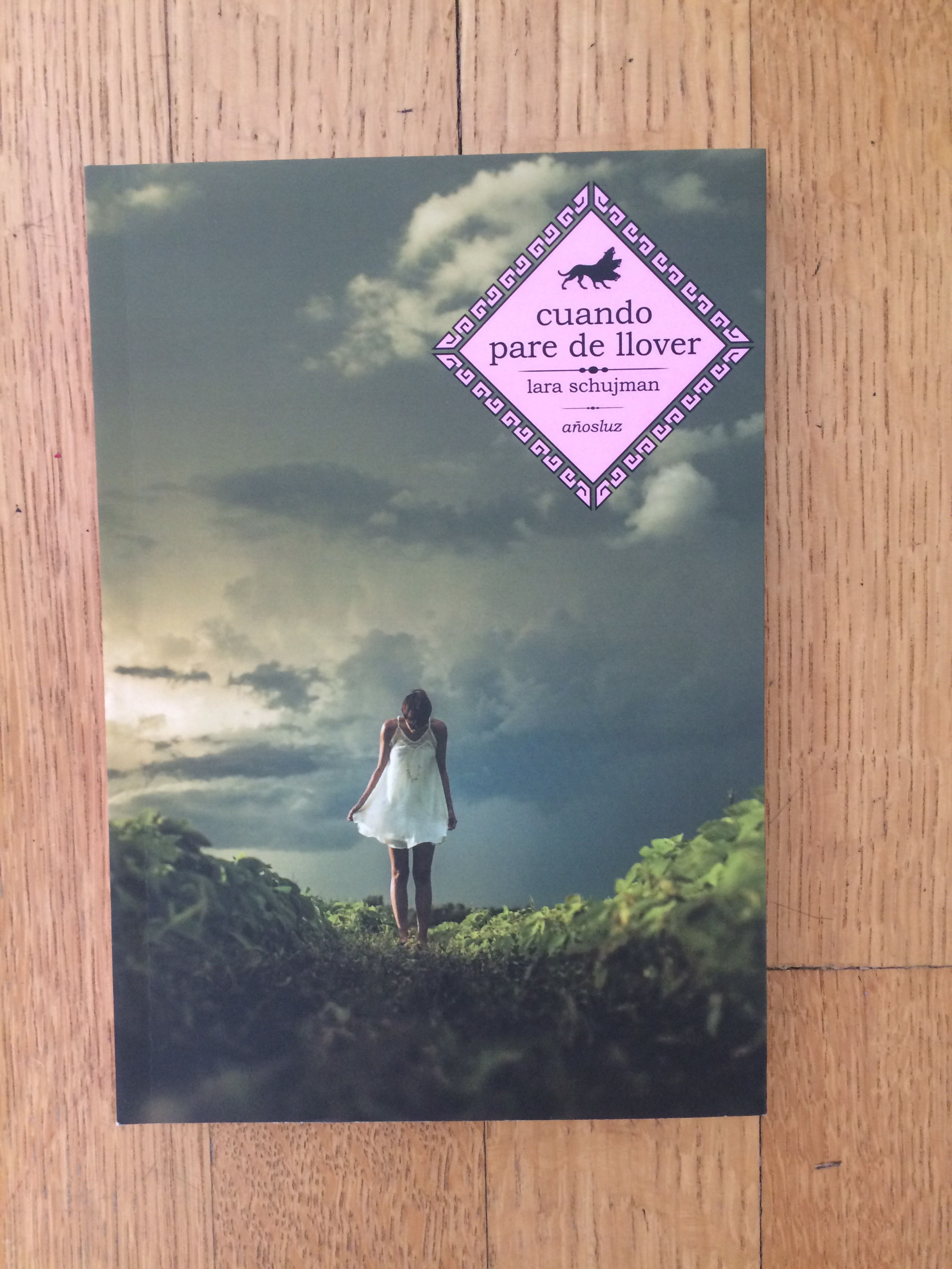 Cuando pare de llover