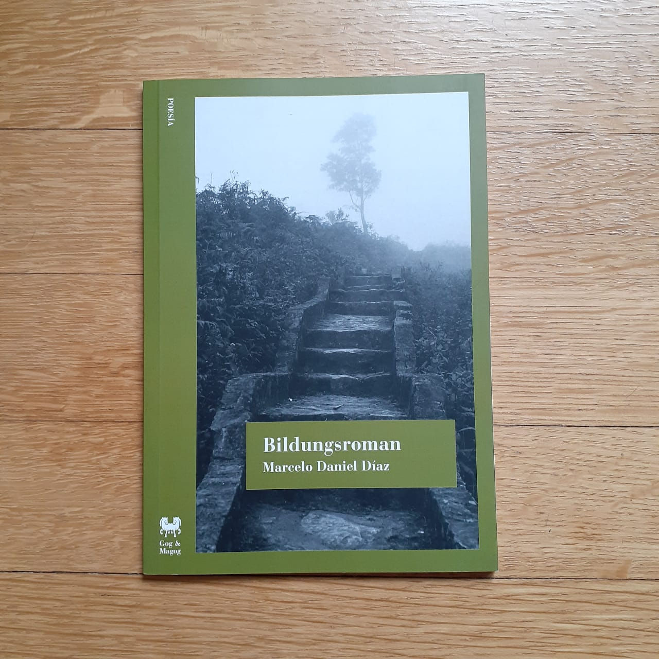 Bildungsroman - Marcelo Daniel Díaz