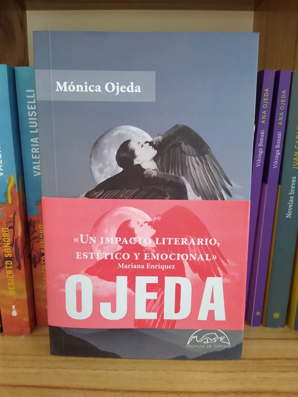 Las voladoras - Mónica Ojeda