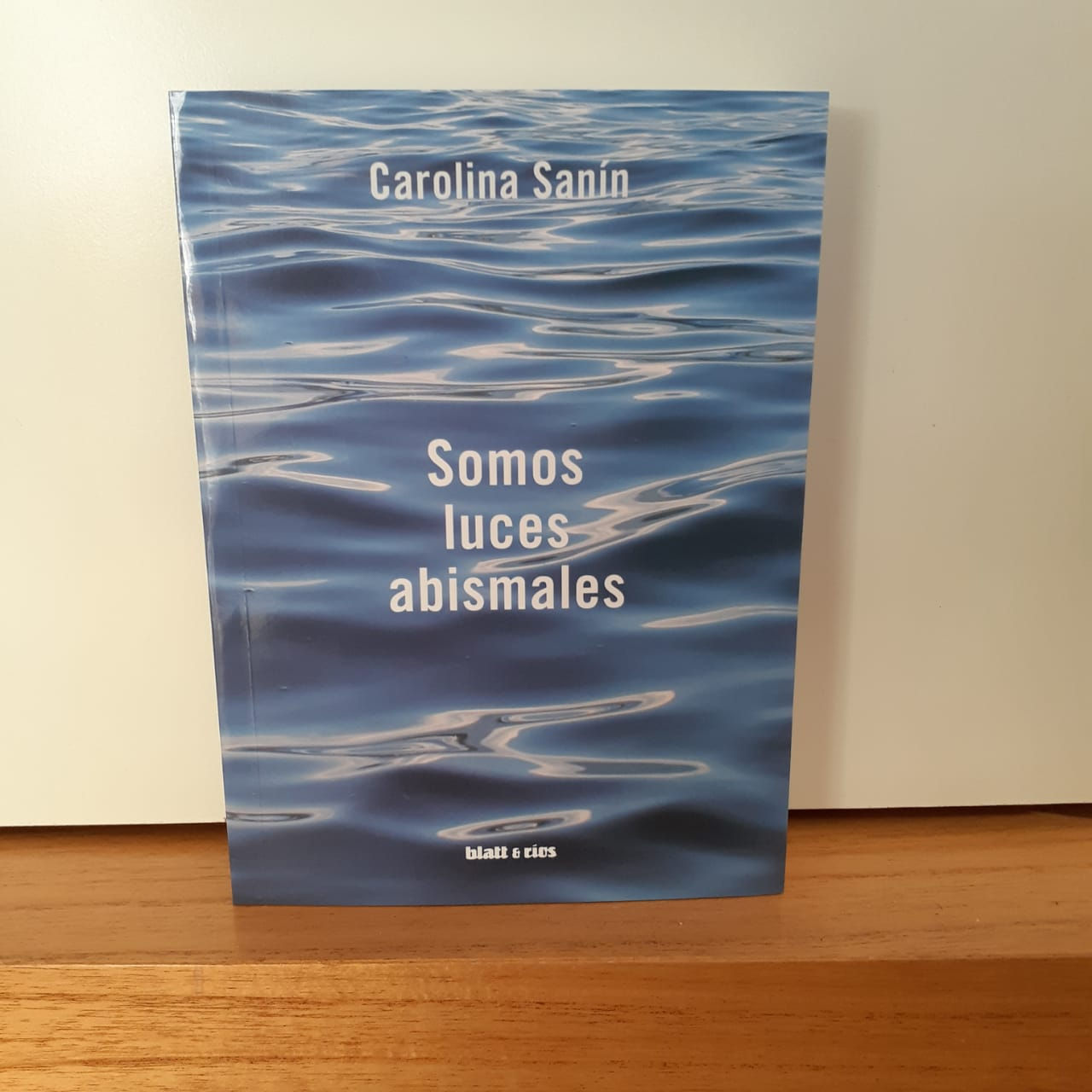 Somos luces abismales - Carolina Sanín