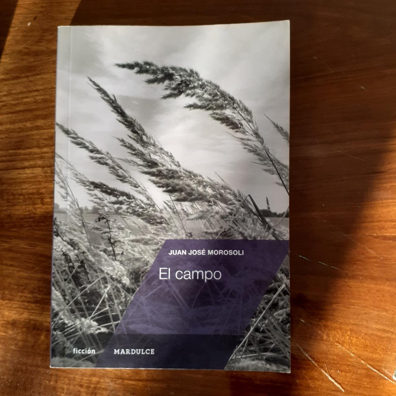 El campo - Juan José Morosoli