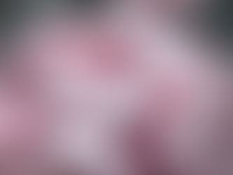 Mastering The Art of Marshmallow Making