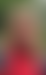 Song Of All Songs Poetry Sarah Allers