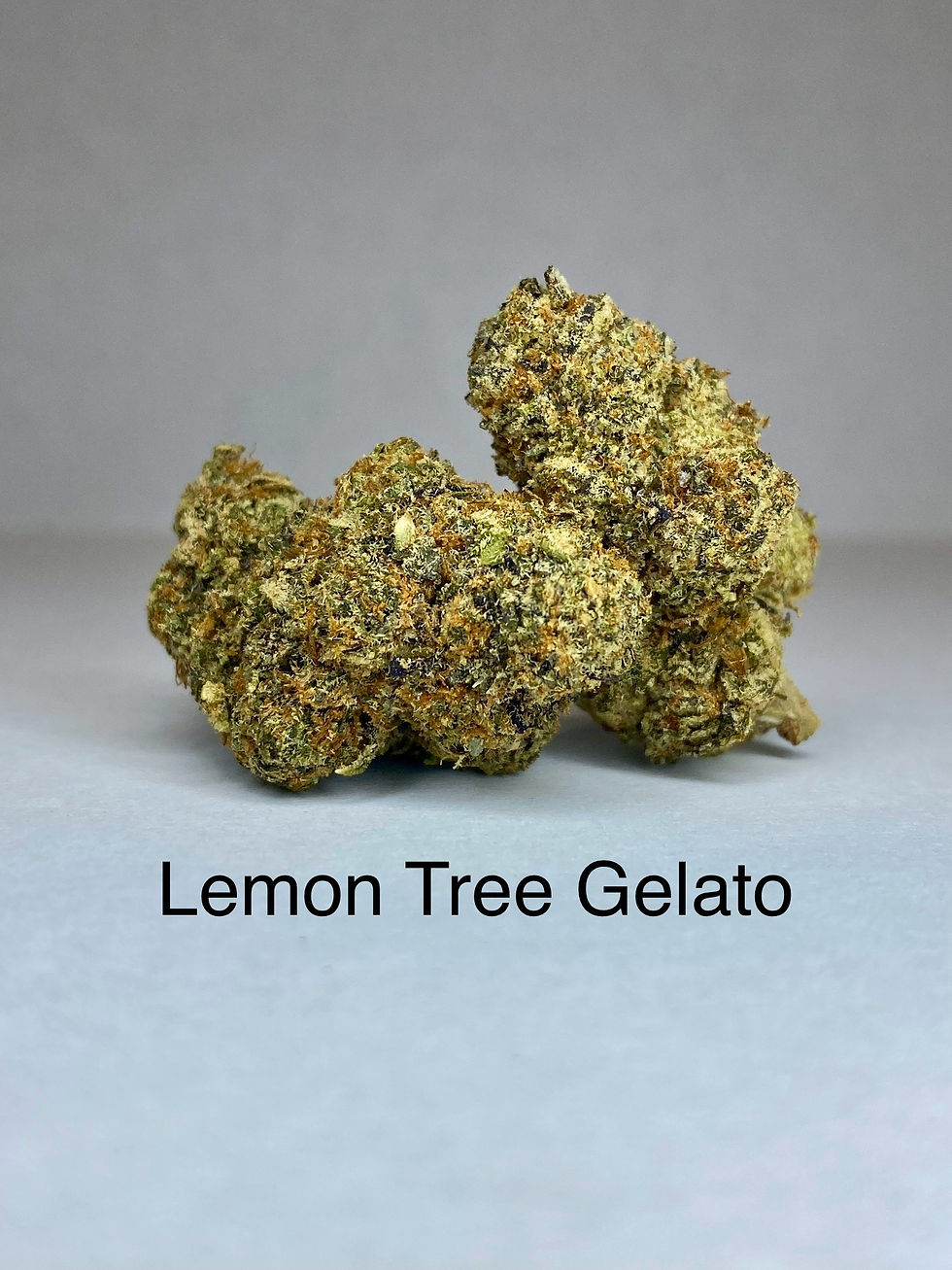 Lemon Tree Gelato image