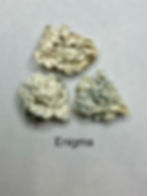 Enigma