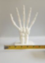 Thumbnail: Skeleton Hand Prop