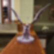 20231020_210730.jpg