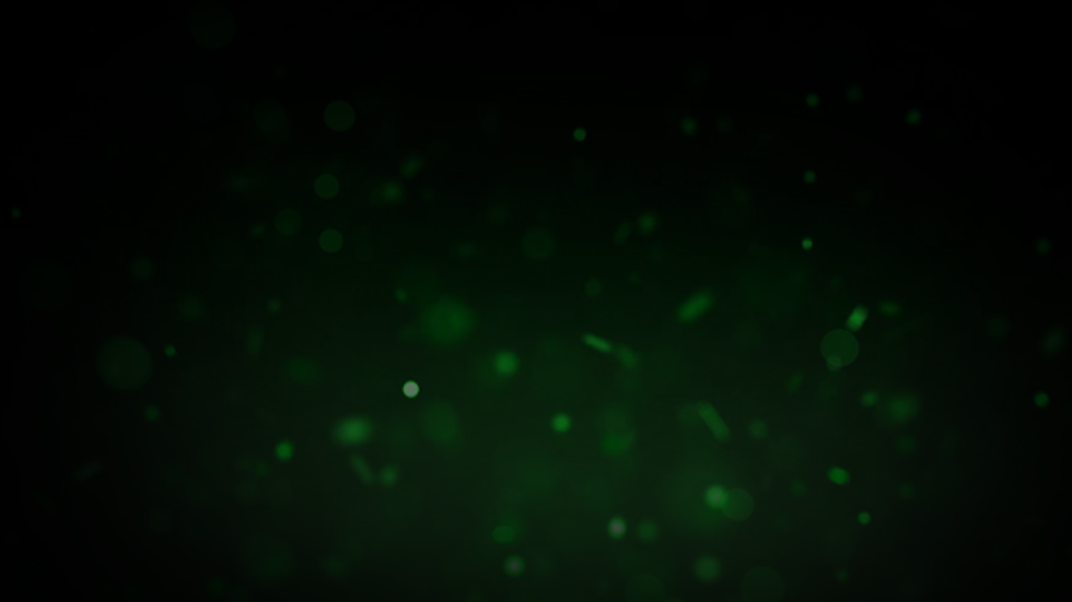 fondo nmf servicios