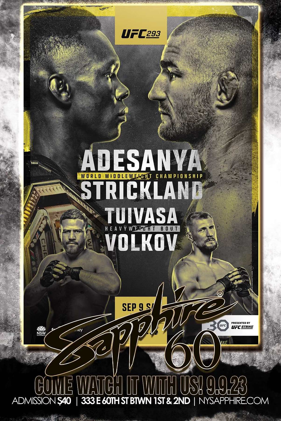 UFC 293
