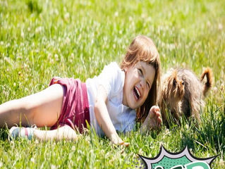 O calor chegou, como se proteger