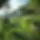 ai_photos_luxury_beach_garden_with_grass_designs_and_arrangment_517d3027-bbc5-4e5e-adf0-f2