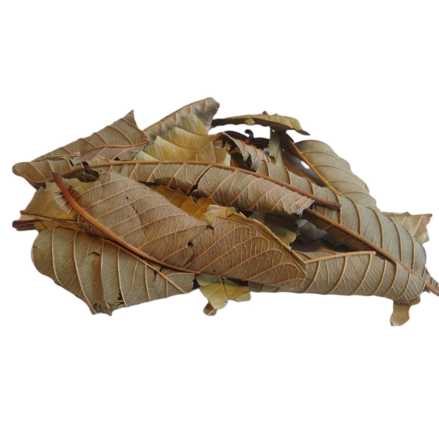 Guava Leaves/Hoja De Guayaba
