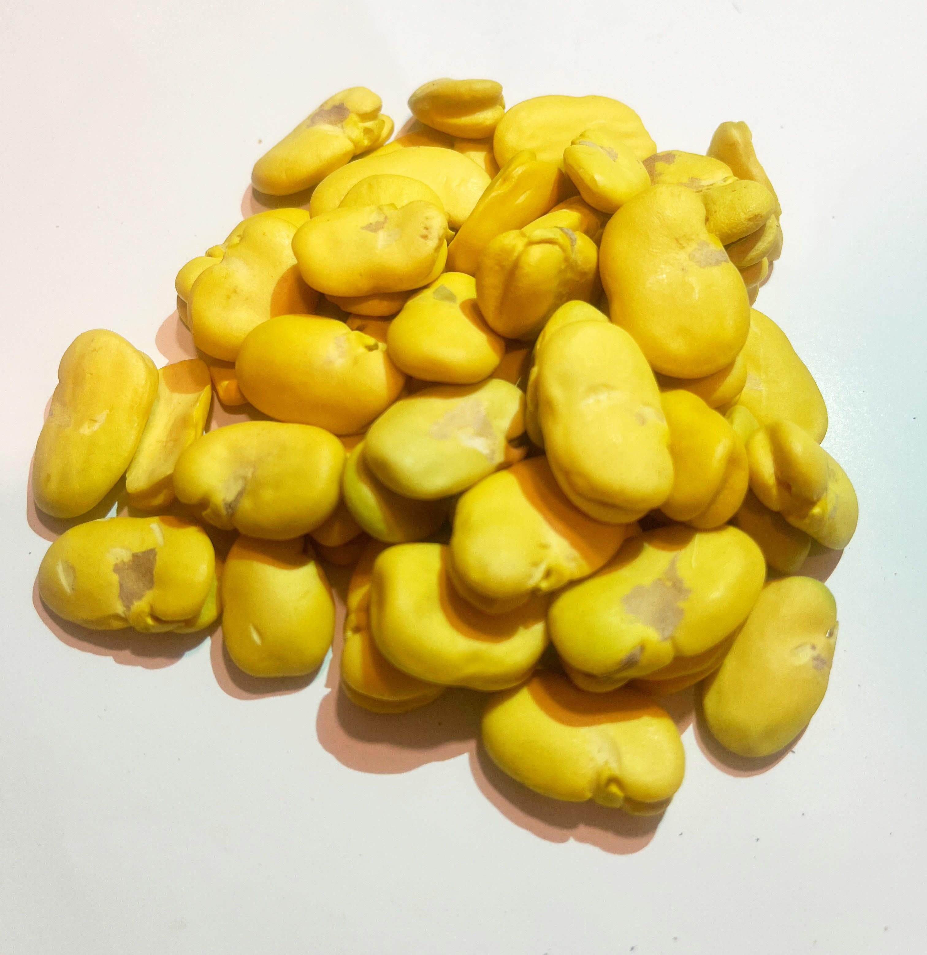 Fava Beans/Haba Seca