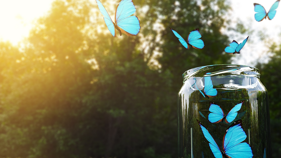 Blog Banner for Website Content copy.png
