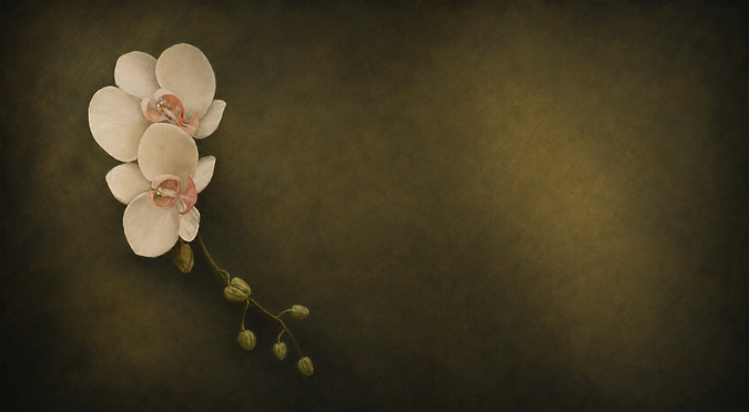 orchid frame 3