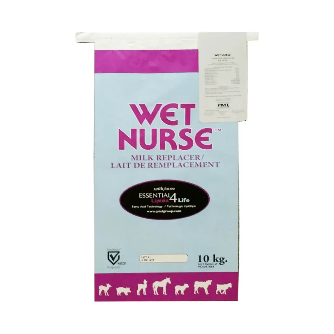 Wet Nurse Meat Kid 24-24-34