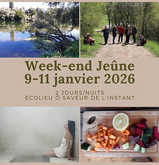 Jeune janvier 2026.jpg