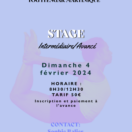 Stage Intermédiaire/ Avancé- dimanche 4 février 2024