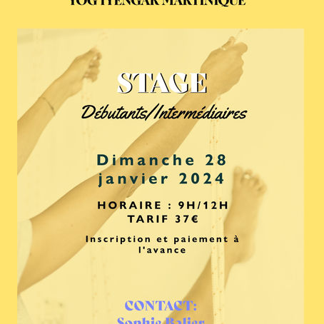 Stage Débutant/Intermédiaire-Dimanche  28 janvier 2024