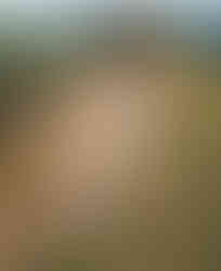 Foto 30.07.22, 16 42 48