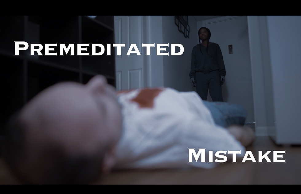 Premeditated Mistake