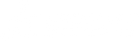 DS Logo.png