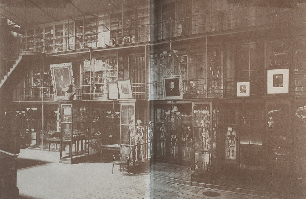 Thumbnail: DR. MUTTERS'S MARVELS: Mutter Museum / Early Medical History