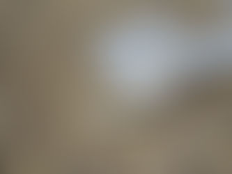 Nos vaches mangent-t-elles local?