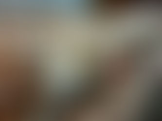 El shiitake en los orígenes del proyecto de alimentación ecológica Onyar