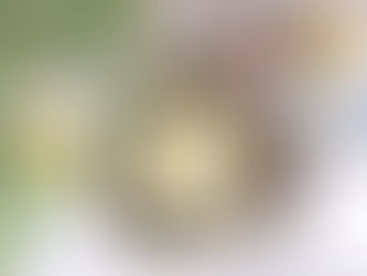 Receta de raviolis de queso de cabra y zanahoria con crema de limón