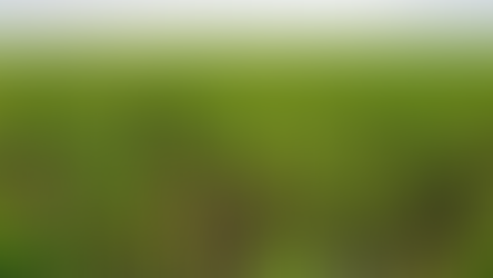 Eco-Friendly Farming: How Sanwa Fertilizer Supports Sustainable Agriculture