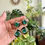 Thumbnail: Zircon Doublet Earrings - SP013
