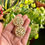 Thumbnail: Silver Moissanite Studs - P0259