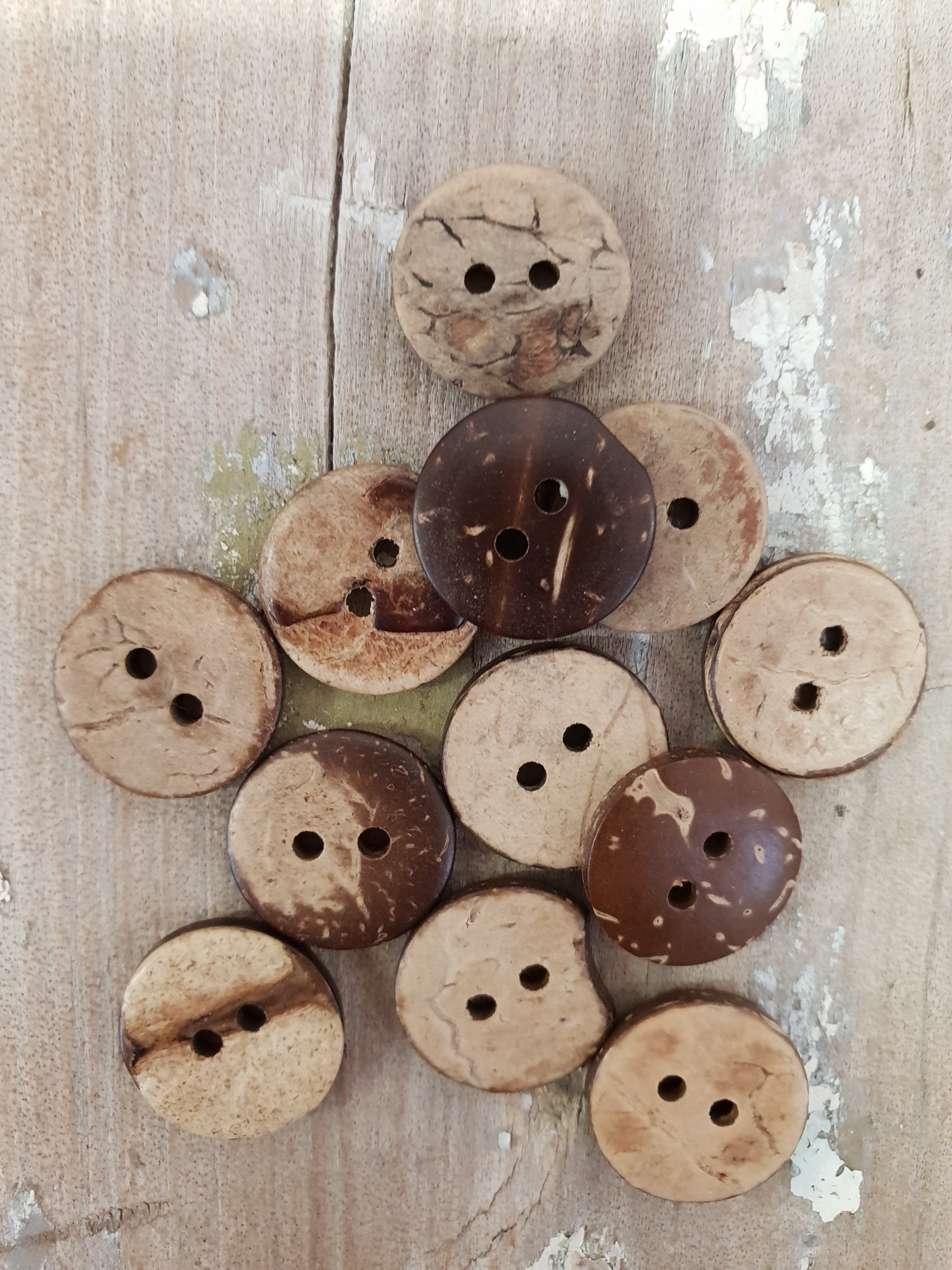 15mm Coconut Shell