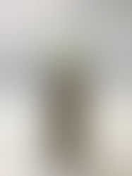 またたび??