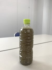 またたび??