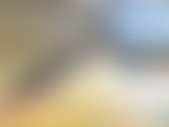 清瀬グループピラティス:プランクポジションで体幹&腕の強化