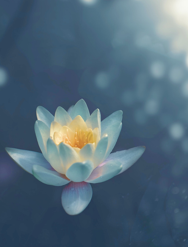 Lotus Flower_edited_edited.jpg