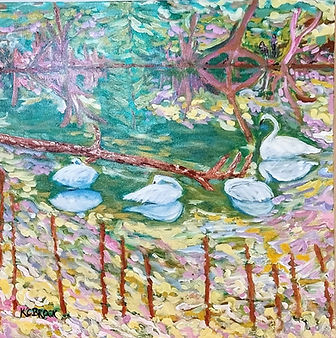 Trumpeter Swans on Holden Lake