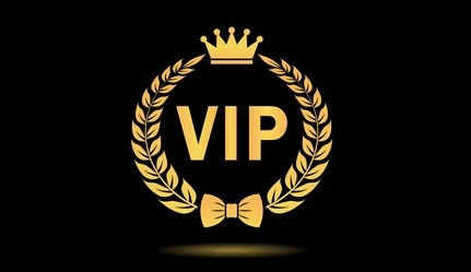 Groupe VIP