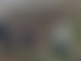 泥だらけの初日