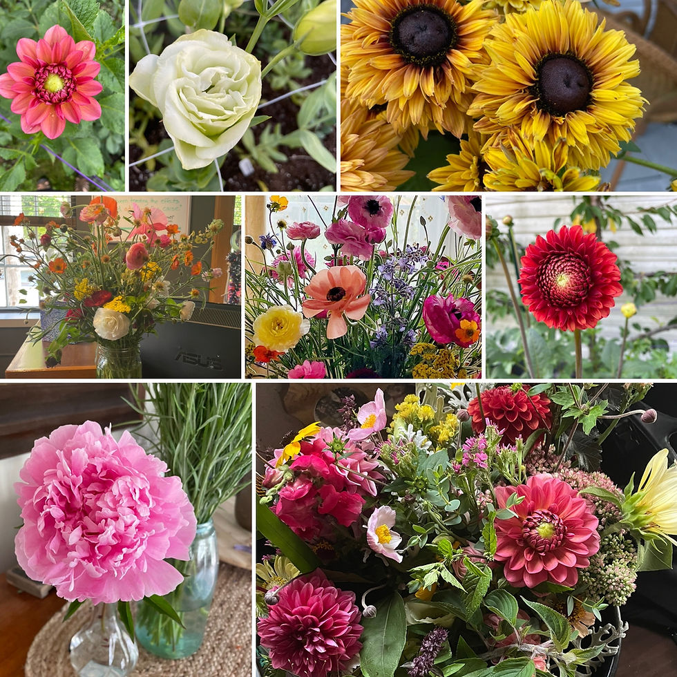 A selection of micro flower farm seasonal blooms