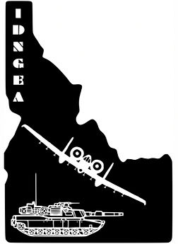 IDNGEA Pin_edited.jpg