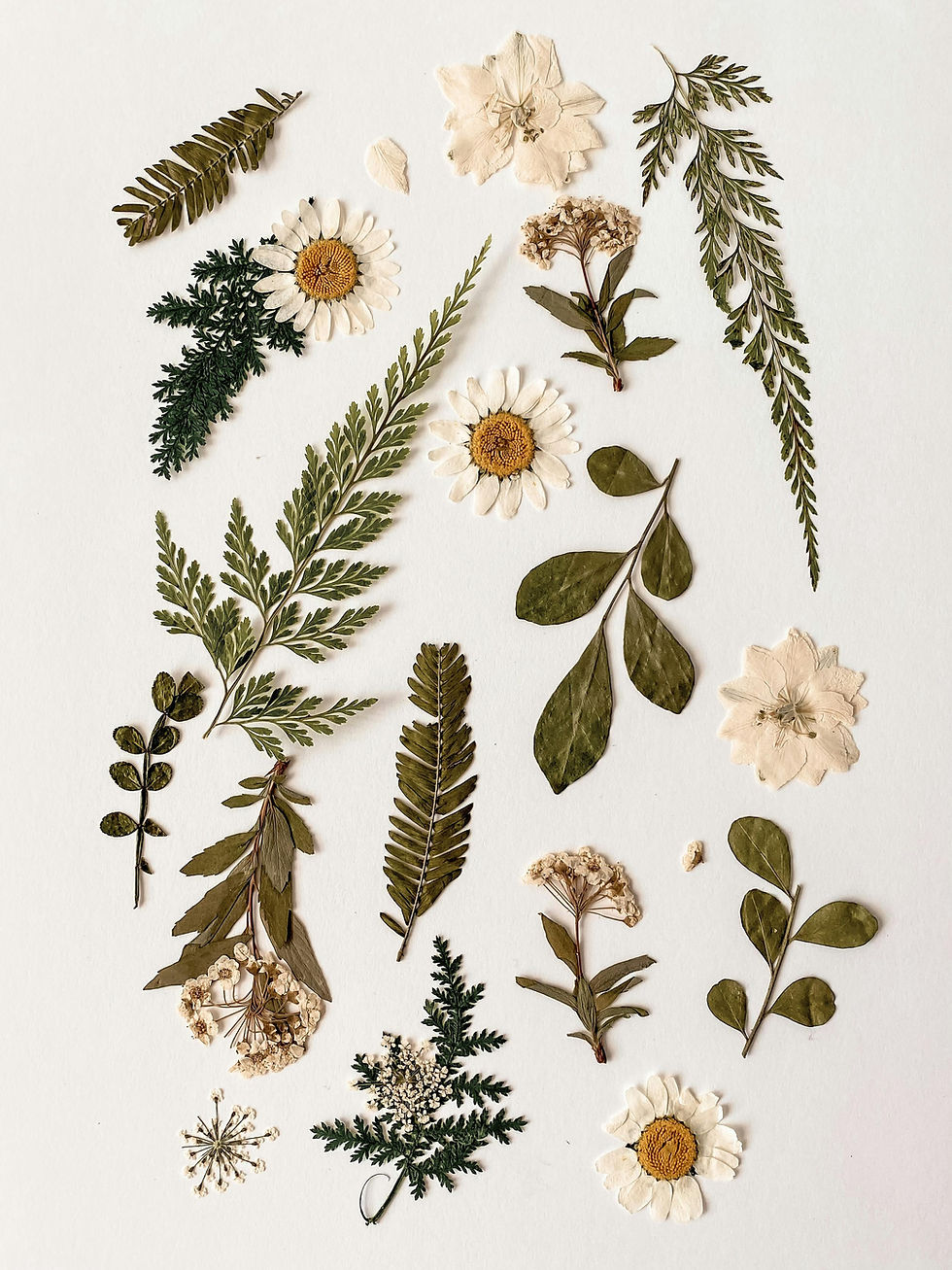 flowers and leaves preserved