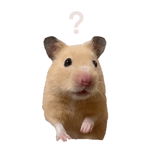 きになっているねずみ