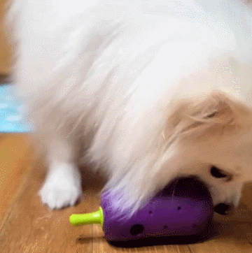 가지.gif