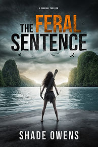 1 - Book 1 eBook Cover.jpg