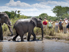 Why Guided Travel Offers More Value Than You Think | Expert-Led Tours with Collette